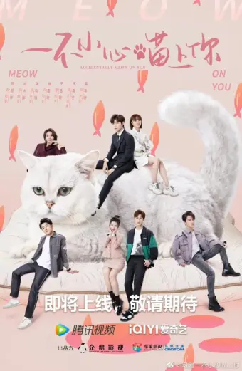 Bất Cẩn Meow Phải Anh (Accidentally Meow On You)