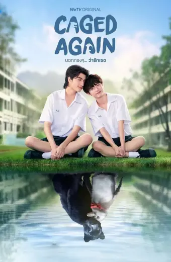 Dũng Cảm Nói Yêu Người (Caged Again)