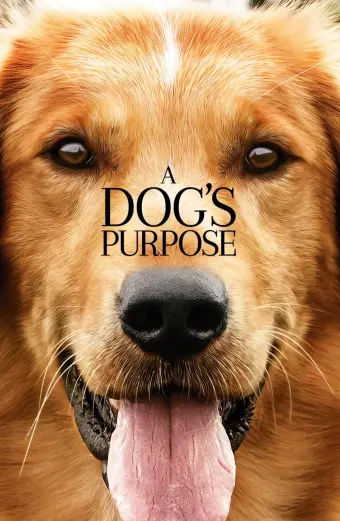 Mục Đích Sống Của Một Chú Chó (A Dog's Purpose)