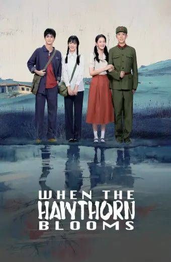 Chuyện Tình Cây Sơn Tra (When The Hawthorn Blooms)